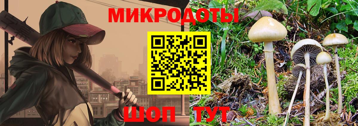 Галлюциногенные грибы мицелий  Вход с VPN  Луга 