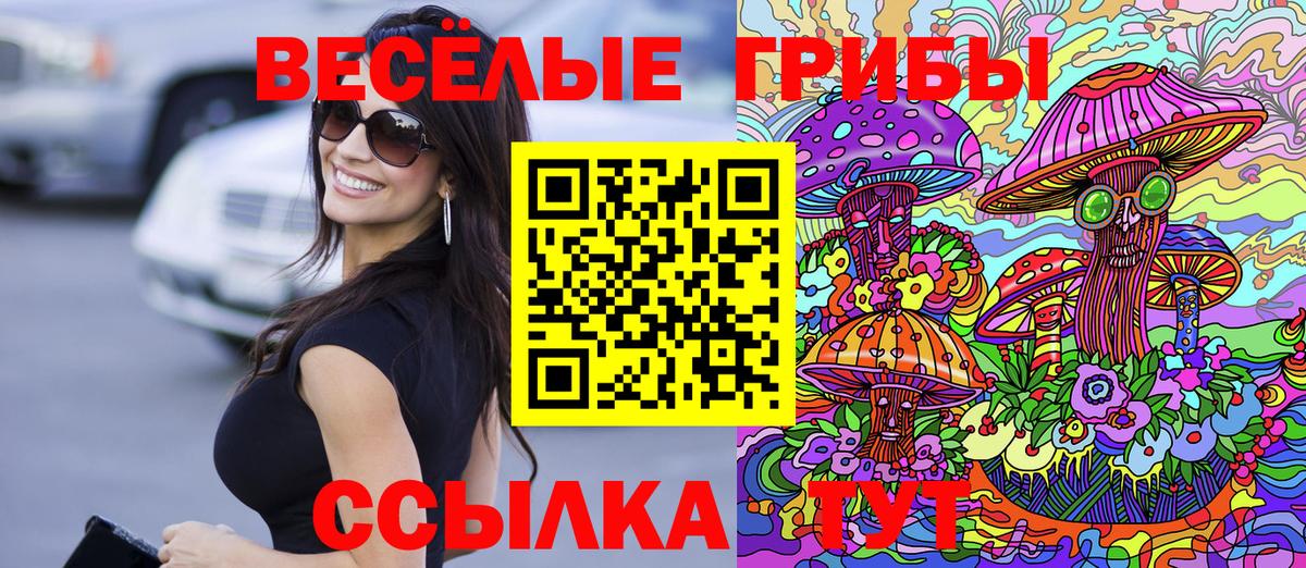Псилоцибиновые грибы ЛСД Луга